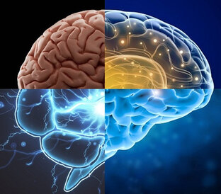 Тесты на эрудицию