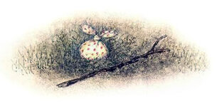 Смысловые соображения