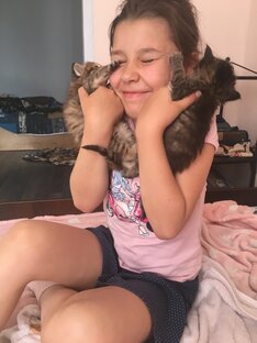 Котики