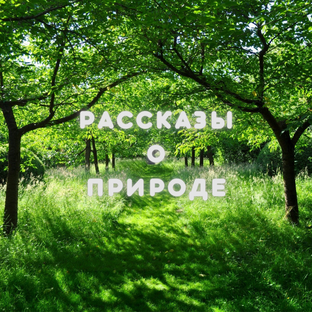 Рассказы о природе
