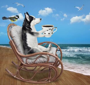 Тесты, ребусы, иллюзии, упражнения, головоломки и методики