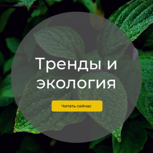 Про тренды и экологию