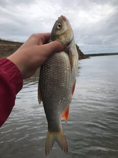 КЛЁВ ПОДПИСЧИКОВ 