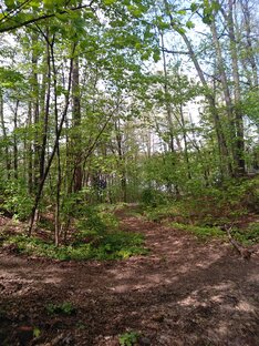 Воробьёвы горы 