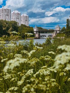Москва и Подмосковье