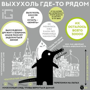 Недоразумения