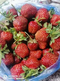Вкушняшка