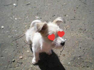 Анекдоты про любовь