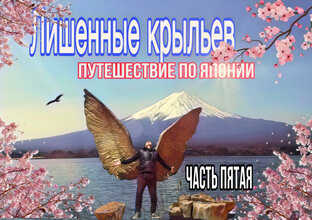 🇯🇵 Лишенные крыльев или путешествие по Японии 