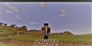 Я мэр -Деревня 110