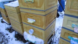 декабрь на пасеке