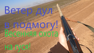 Охота на дичь