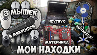 Истории из жизни