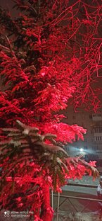 Зимняя сказка 