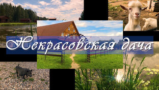 "Некрасовская дача"