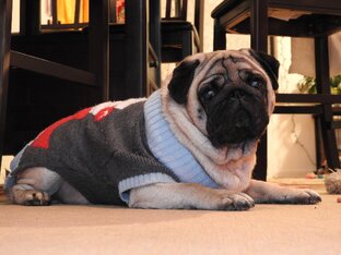 Домашнее хозяйство