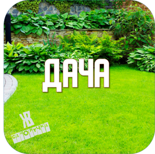 ДАЧА