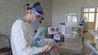 Мои документальные фильмы