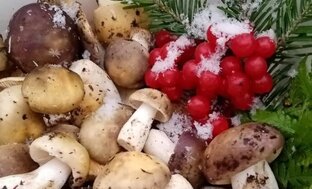Готовим деликатесы на даче
