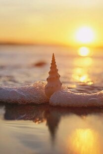 Энергия Жизни