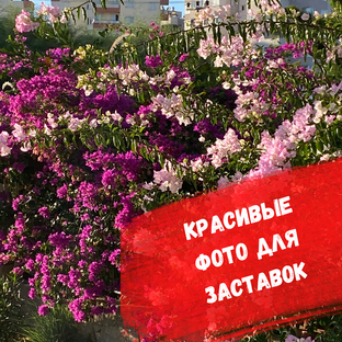 Красивые фото и видео Анталии
