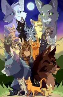 Обзоры книг КВ 