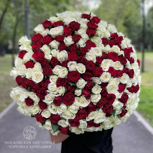 WOW-эффект гарантирован! 