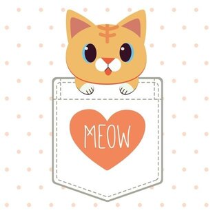 КОТИКИ ИЩУТ ДОМ!
