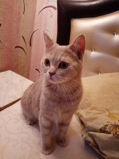 Истории про обычных людей 