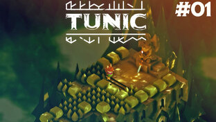 Tunic