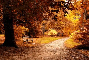 Учись на ошибках других или мне дороги мои грабли.