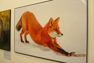 Тесты о характере