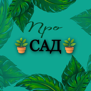 Здесь про цветы