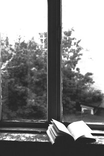 Популярное