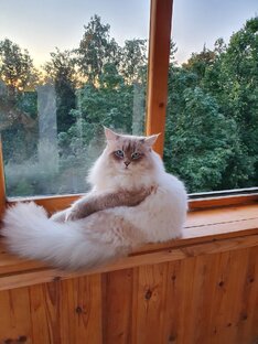 Джонатан Жемчуг Невы