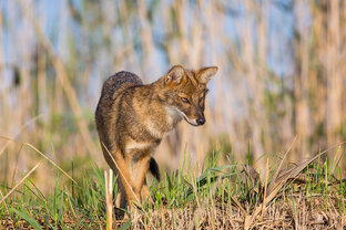 Заповедники