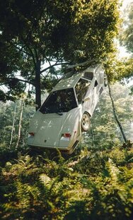 Фотогалерея