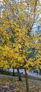 Жизнь прожить - не поле перейти