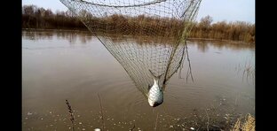 Рыбалка на круг(подъёмник)