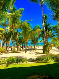 Доминикана 2021