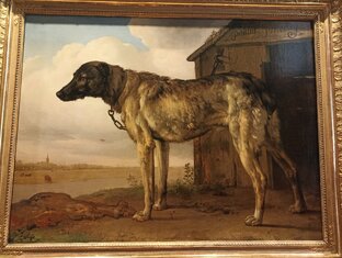 Сериалы детективы и триллеры