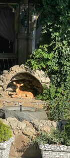 Настроение...какое у вас???