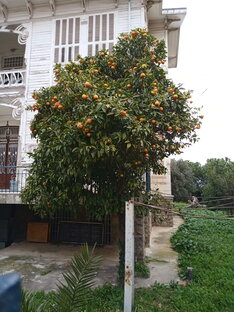 Рассказ попутчицы "Как я с американцем познакомилась"