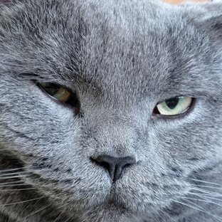 Вроде моя жизнь