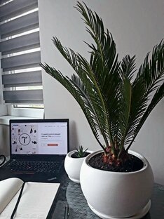 Про стиль и веб-дизайн