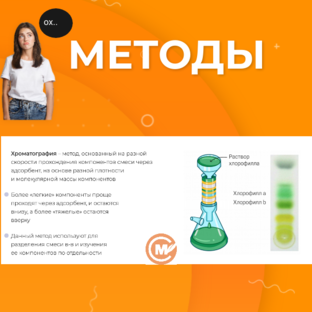 Школьникам 