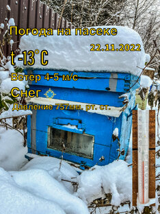Погода