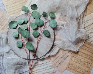 Зелень для букетов 