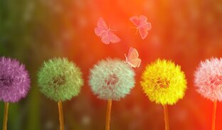 О мечтах, снах, интересное, видео для релакса.