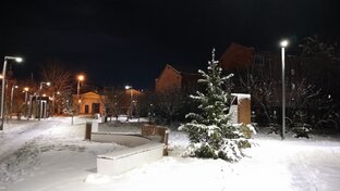 Новый Год